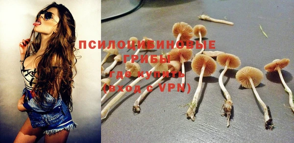 а пвп мука Бородино